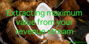 Extracting-maximum-value-from-your-revenue-stream